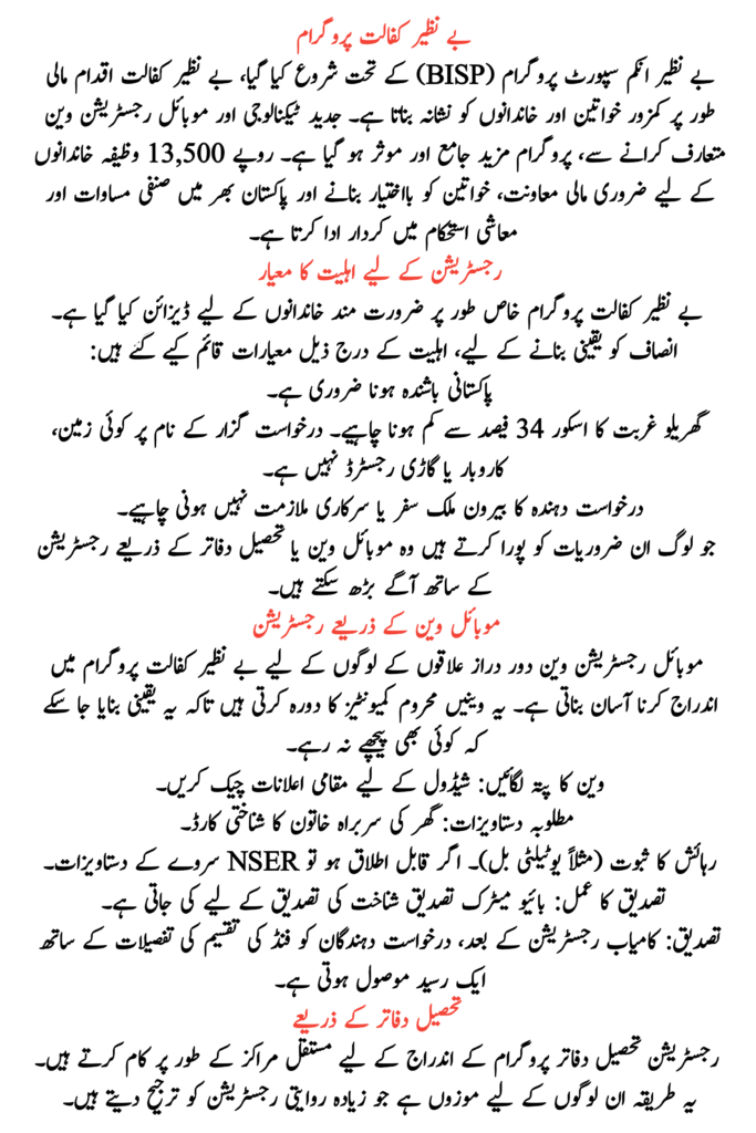 Benazir Kafalat 2025 Registration