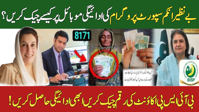 Check Benazir Income Support Program Payment on Mobile
